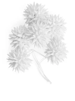 A World Of Craft Paper Stars Set Of 6