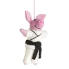 Felt So Good Karate Pig